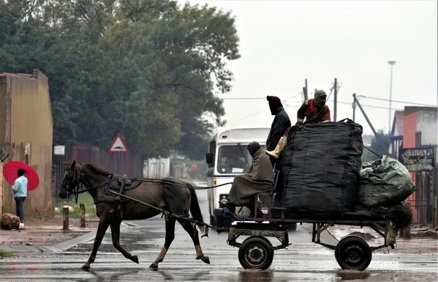 Three men ride on a horse drawn cart in the rain carrying sacks filled with recyclable material, in Katlehong, east of Johannesburg, South Africa, Thursday, February 9, 2023. (Photo by Themba Hadebe/AP Photo)