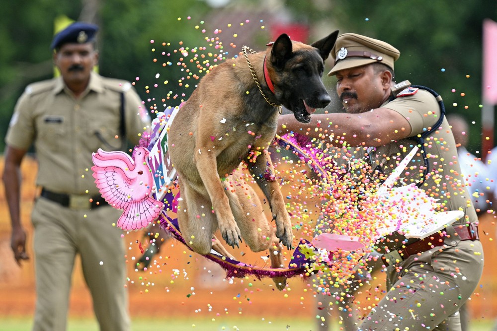 A Look at Life in India