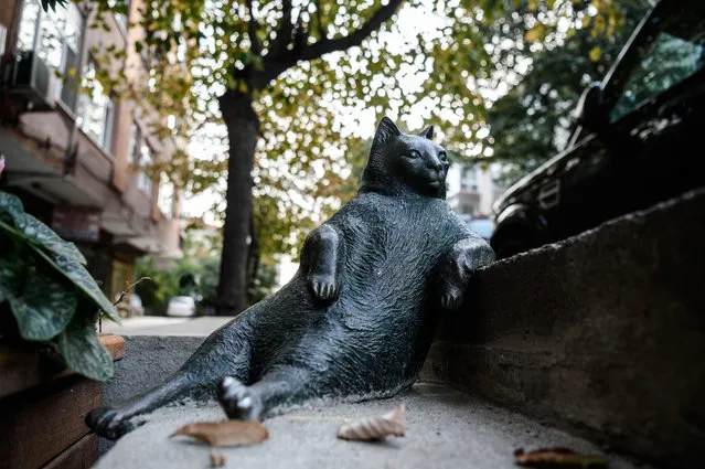 A picture taken on October 25, 2016 shows a sculpture of “Tombili Cat” who died in August at Ziverbey district in Istanbul. A sculpture created in memory of “Tombili” the portly cat who became a social media phenomenon after being photographed posing on a sidewalk in Istanbul's Ziverbey neighbourhood. (Photo by Ozan Kose/AFP Photo)