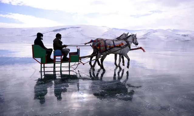 Horse-drawn sleigh tours on ice covered layer of the Lake Cildir in Ardahan, Turkey on January 06, 2020. Lake Cildir, located in Kars-Ardahan border, is the second largest lake in the Eastern Anatolia Region with an area of 123 square kilometers. (Photo by Gunay Nuh/Anadolu Agency via Getty Images)