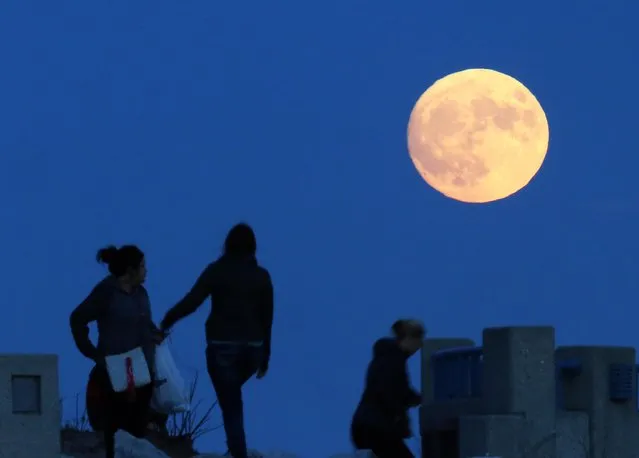 On the eve of the so-called supermoon, visitors enjoy an unobstructed view of the spectacle as it ascends over the Lake Michigan shoreline in Milwaukee, Wis., Sunday, November 13, 2016. (Photo by John Hart/Wisconsin State Journal via AP Photo)