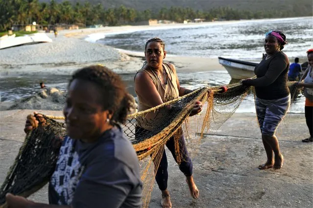 Fisherwoman Greyla Aguilera and coworkers carry a net to place it on the beach on the coast of Chuao, Venezuela, Thursday, June 8, 2023. Aguilera, 48, said fisherwomen rely on each other and their parents to care for their children while they are at sea. “Someone always steps up to ensure that no woman misses a fishing shift”, she said. (Photo by Matias Delacroix/AP Photo)