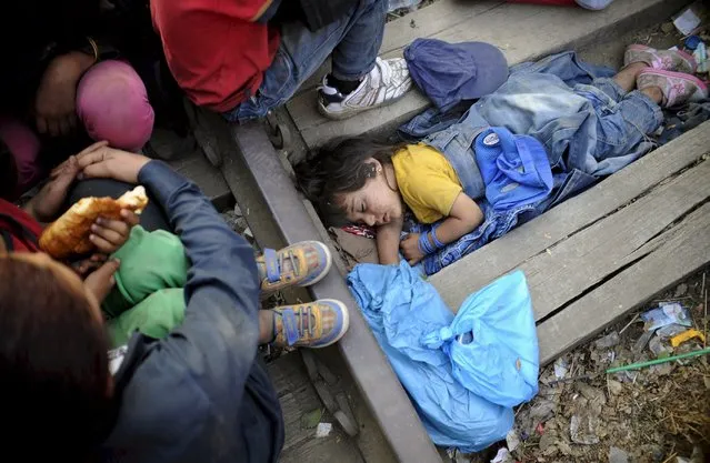 Four-year-old Rashida from Kobani, Syria, part of a new group of more than a thousand immigrants, sleeps as they wait on the border between Macedonia and Greece to enter Macedonia near Gevgelija railway station August 20, 2015. (Photo by Ognen Teofilovski/Reuters)