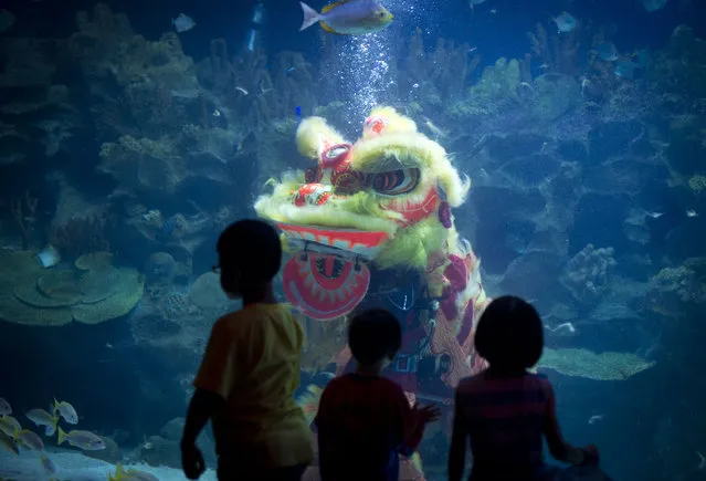 Children watch as divers perform an underwater Chinese lion dance on the first day of the Chinese Lunar New Year at Aquaria KLCC underwater park in Kuala Lumpur, Malaysia on Thursday, February 19, 2015. (Photo by Joshua Paul/AP Photo)