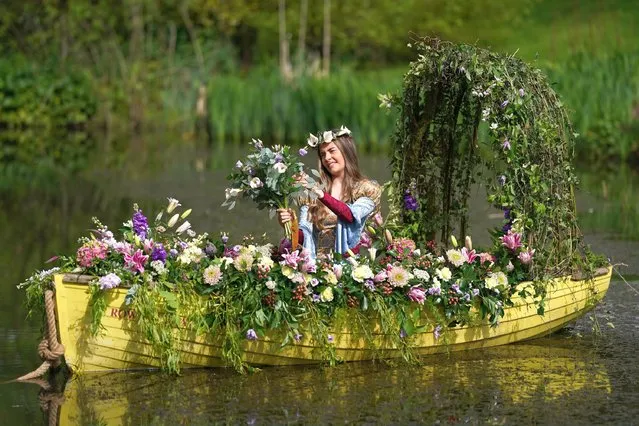 Freya Lee poses as she recreates a floral version of John William Waterhouse’s painting The Lady of Shalott, based on Tennyson’s famous poem during a photo call ahead of the Spring Essentials Flower Show on May 19, 2021 in Harrogate, England. The North of England Horticultural Society (NEHS) is getting ready for the start of the 100th anniversary of the iconic flower show in Harrogate. (Photo by Ian Forsyth/Getty Images)