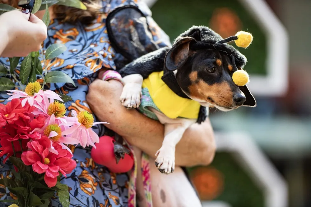 USA last Week, Part 1/3