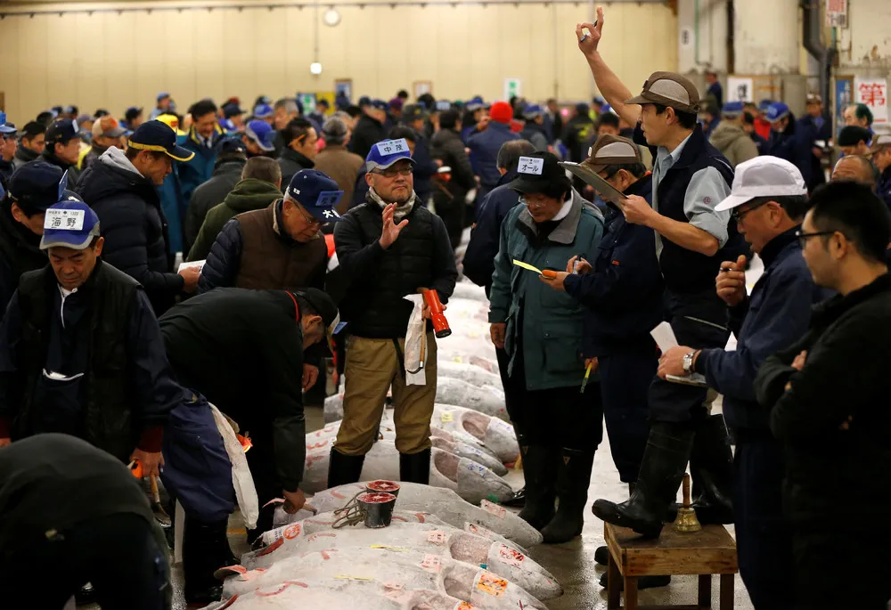 1st Tsukiji Auction of 2017