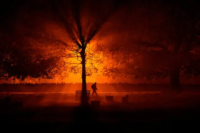 A man uses a torch to walk through a park during cold fog at night in Athboy, Ireland, October 31, 2018. (Photo by Clodagh Kilcoyne/Reuters)