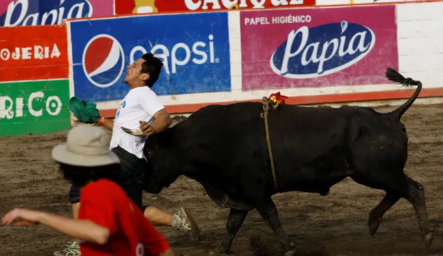 A participant is gored by a bull during a traditional bullfighting festival called “Toros a la tica” in San Jose, Costa Rica January 6, 2017. (Photo by Juan Carlos Ulate/Reuters)