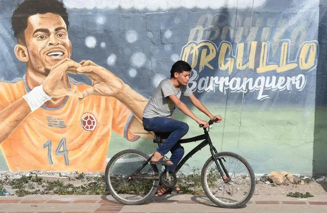 A man rides a bike past a mural depicting England's Liverpool football star Colombian Luis Diaz, in Barrancas, Guajira province, Colombia, on May 22, 2022. With bare feet on dusty fields, an indigenous man who aspires to become an European champion, began kicking the ball: Luis Diaz, the phenomenon who emerged from a desert forgotten by football in Colombia. (Photo by Daniel Munoz/AFP Photo)