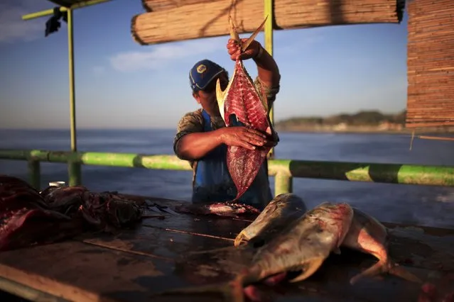 A man cuts a fish at the fishermen dock in La Libertad, El Salvador February 19, 2016. (Photo by Jose Cabezas/Reuters)