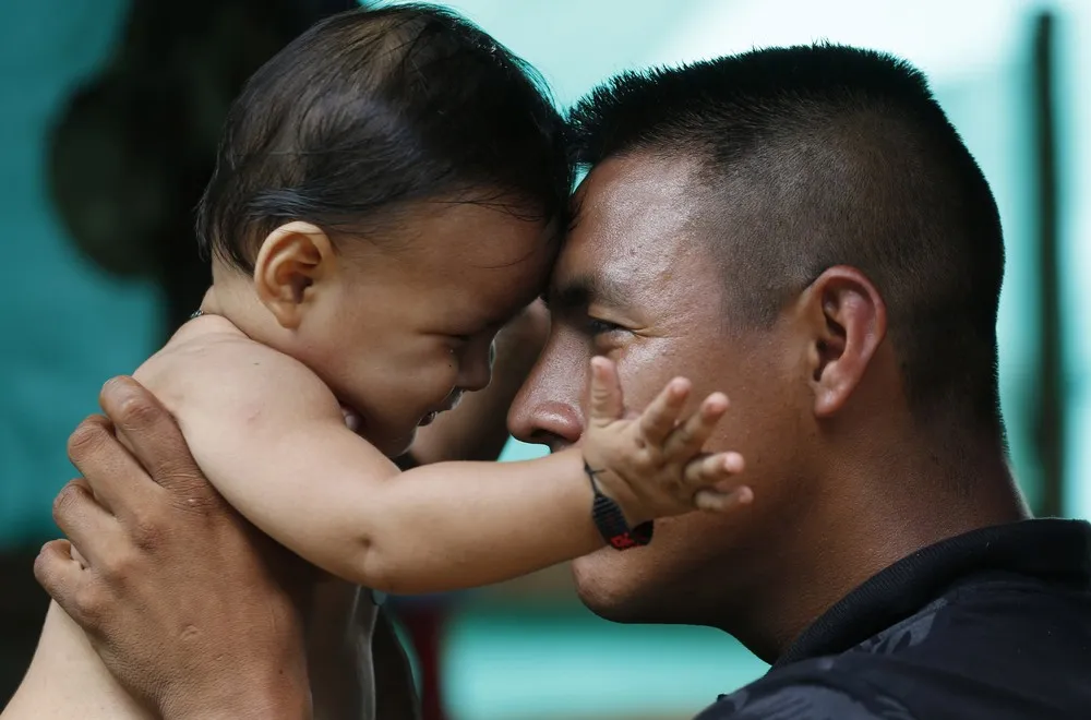 Colombian Rebels Exchange Rifles for Rattles