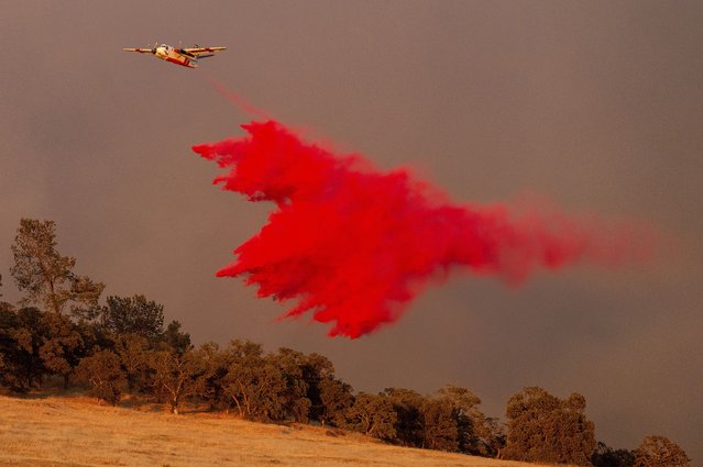 An air tanker drops retardant while battling the Aero Fire in the Copperopolis community of Calaveras County, Calif., Monday, June 17, 2024. (Photo by Noah Berger/AP Photo)