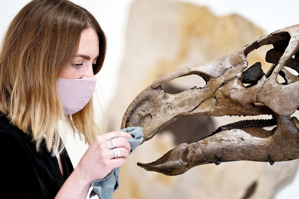 Pictures of the Year 2021, Part 48/102