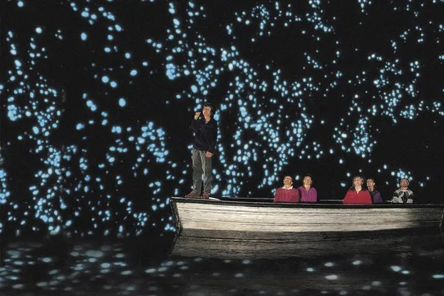 Waitomo Glowworm Caves New Zealand