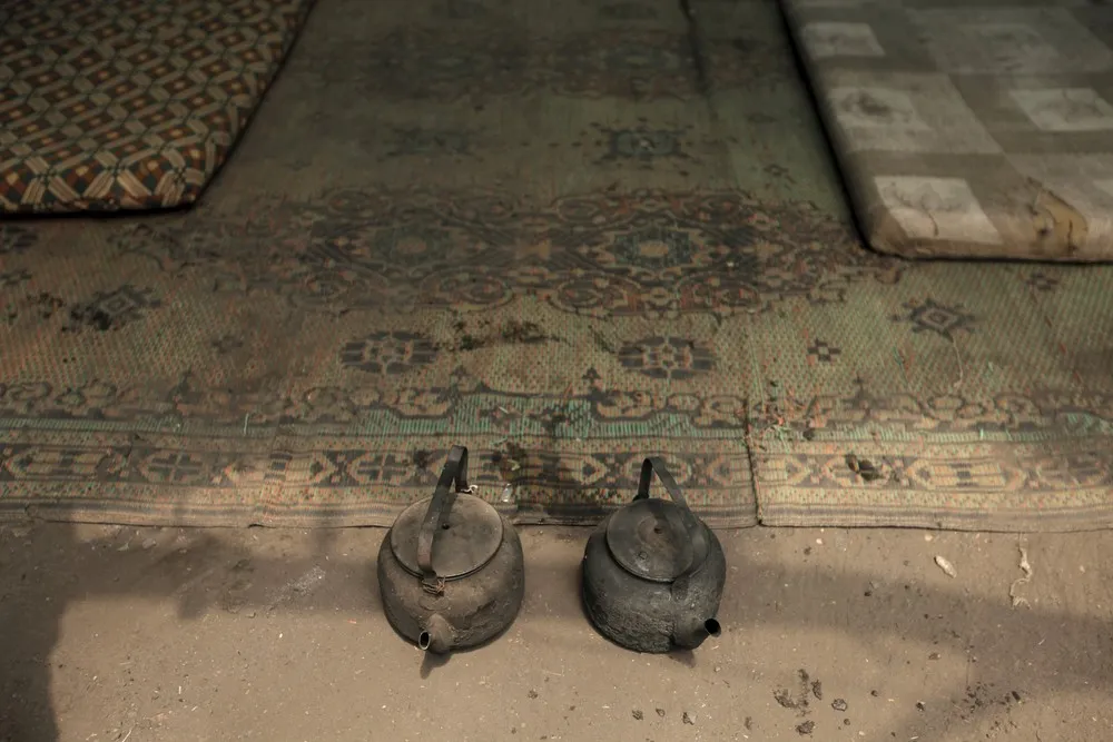 The Day in Photos – July 14, 2015