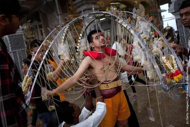 Singapore Hindus Celebrate Thaipusam Festival