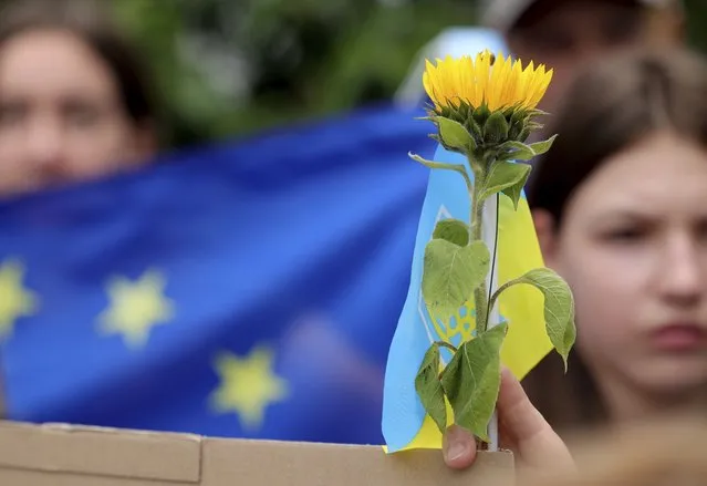 A protestor holds a yellow flower in front of an EU flag during a demonstration in support of Ukraine outside of an EU summit in Brussels, Thursday, June 23, 2022. European Union leaders are expected to approve Thursday a proposal to grant Ukraine a EU candidate status, a first step on the long toward membership. (Photo by Olivier Matthys/AP Photo)