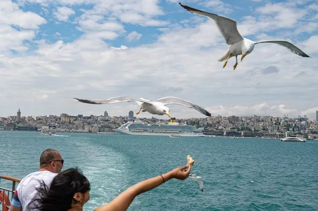 Bystanders feed seagulls and watch a Costa Venezia cruise ship in Galataport, Istanbul, on June 06, 2022. Galataport, located in Istanbul's neighborhood of Karakoy, is set to energise cruise tourism from the Mediterranean Sea to the Black Sea amidst Turkish economy tailspin over a weakening lira currency and soaring inflation. (Photo by Yasin Akgul/AFP Photo)
