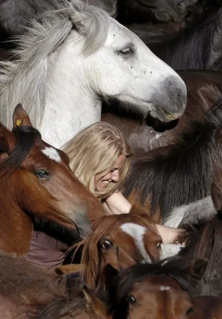 A female Sabucedo resident among savage horses tries to cut a horse's mane during the traditional “Rapa des Bestas” (Capture of the Beats) festival in Sabucedo, Pontevedra, Galicia, Spain, 02 June 2016. This traditional Fiesta of National Tourist Interest of Spain event is traditionally held on the first Saturday, Sunday and Monday of July and since centuries brings together horses living free in the mountains and mostly men to measure their strength by cutting the animal's manes. (Photo by Lavandeira Jr./EPA)