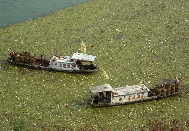 Workers clean up floating garbage on the Yangtze Rive near the Three Gorges reservoir in Fengjie County of China's Chongqing municipality, November 1, 2009. China is facing an arduous mission to improve water quality as 30 percent of the country's major river drainage areas had not met the state required standard by the end of 2008, Xinhua News Agency reported. (Photo by Reuters/China Daily)