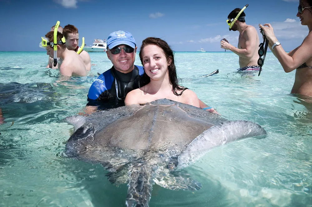 Stingray City, Grand Cayman