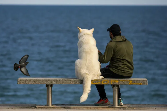 A man sits with his dog on a bench as they watch the Mediterranean sea in Barcelona, Spain, Sunday, April 26, 2020 as the lockdown to combat the spread of coronavirus continues. From Sunday, children under 14 years old will be allowed to take walks with a parent for up to one hour and within one kilometer from home, ending six weeks of compete seclusion. (Photo by Emilio Morenatti/AP Photo)