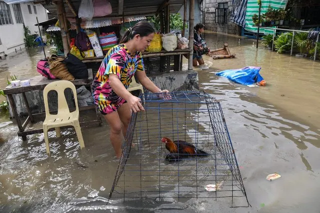 A resident saves a chicken while evacuating from their submerged home in the aftermath of Super Typhoon Noru in San Ildefonso, Bulacan province on September 26, 2022. (Photo by Ted Aljibe/AFP Photo)