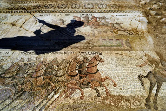 An archeologist in a shadow, sprays water on a rare mosaic floor dating to the 4th century depicting scenes from a chariot race in the hippodrome, in Akaki village outside from capital Nicosia, Cyprus, on Wednesday, August 10, 2016. The 4th century mosaic rare is the only one of its kind in Cyprus and one of only handful in the world. (Photo by Pavlos Vrionides/AP Photo)