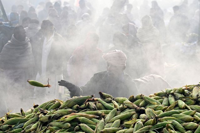 A vendor prepares to load roasted corn onto carts at a market in Lahore on January 9, 2025. (Photo by Arif Ali/AFP Photo)