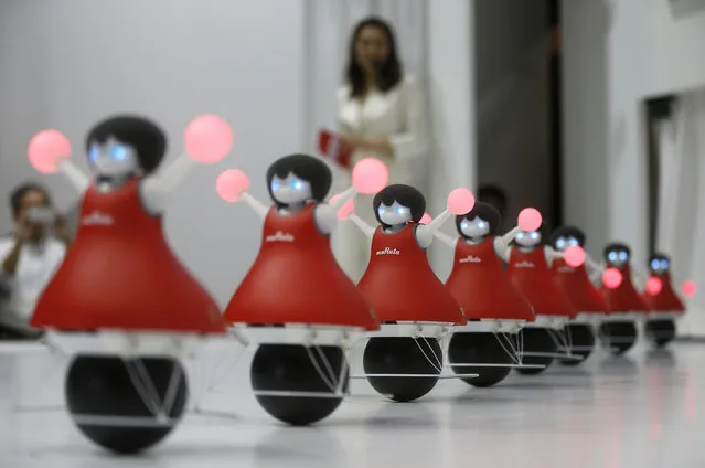 Japan's Murata Manufacturing Co. Ltd's latest concept robots, the “Murata Cheerleaders”, demonstrate how they balance on balls and synchronise as a team by utilising sensing and communication technology, at the Combined Exhibition of Advanced Technologies (CEATEC) JAPAN 2014 in Chiba, east of Tokyo, October 7, 2014. (Photo by Issei Kato/Reuters)