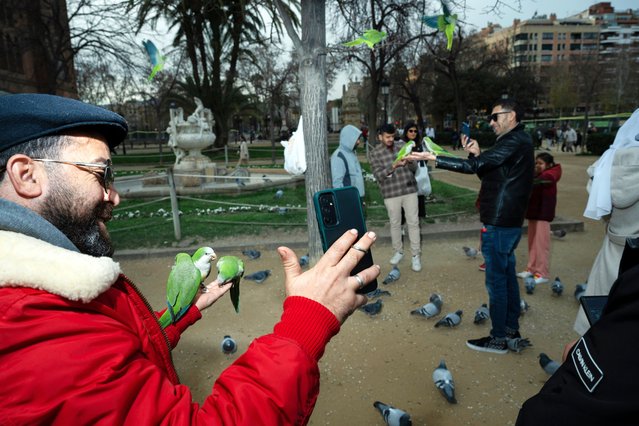 Barcelona, 19 January 2025. People in the Parc de la Ciutadella having their pictures taken with birds. All around Barcelona there are often people who will sell you bird food so you can be photographed with their birds on your hand. (Photo by Stefan Nieland/The Guardian)