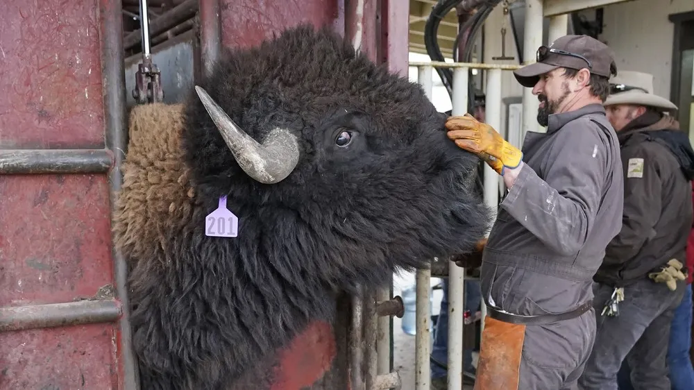 USA last Week, Part 2/2