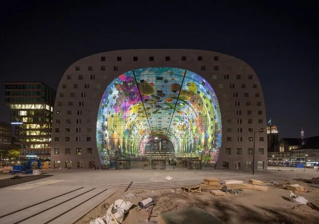 New Icon Of Rotterdam - Markthal Rotterdam