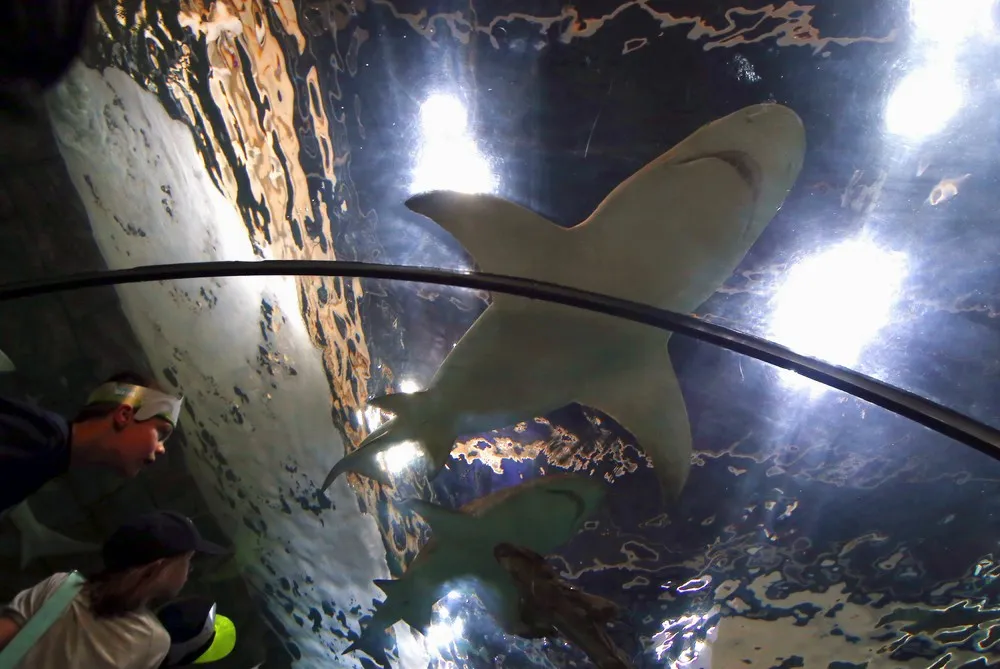 The Day in Photos – September 30, 2015