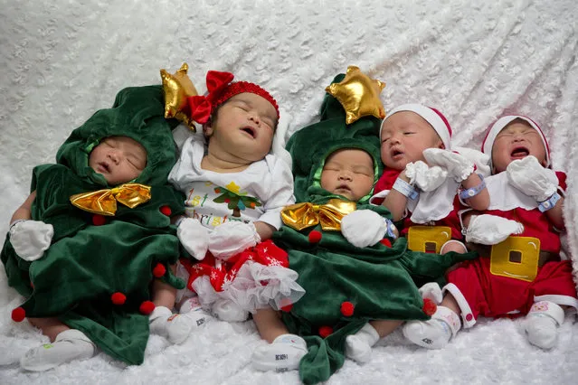 Newborns dressed in Santa and Christmas tree outfits to mark holiday season sleep at Paolo memorial hospital in Bangkok, Thailand, Thursday, December 21, 2017. (Photo by Gemunu Amarasinghe/AP Photo)