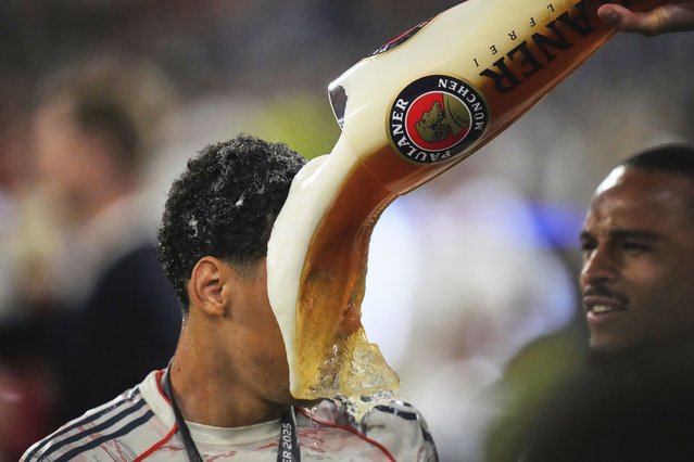 Bayern's Jamal Musiala is doused with beer after the German Bundesliga's soccer match between FC Bayern Munich and Borussia Moenchengladbach in Munich, Germany, Saturday, May 10, 2025. (Photo by Matthias Schrader/AP Photo)