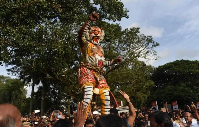 Indian performers painted as tigers take part in the “Pulikali”, or Tiger Dance, in Thrissur on September 17, 2016. (Photo by Arun Sankar/AFP Photo)