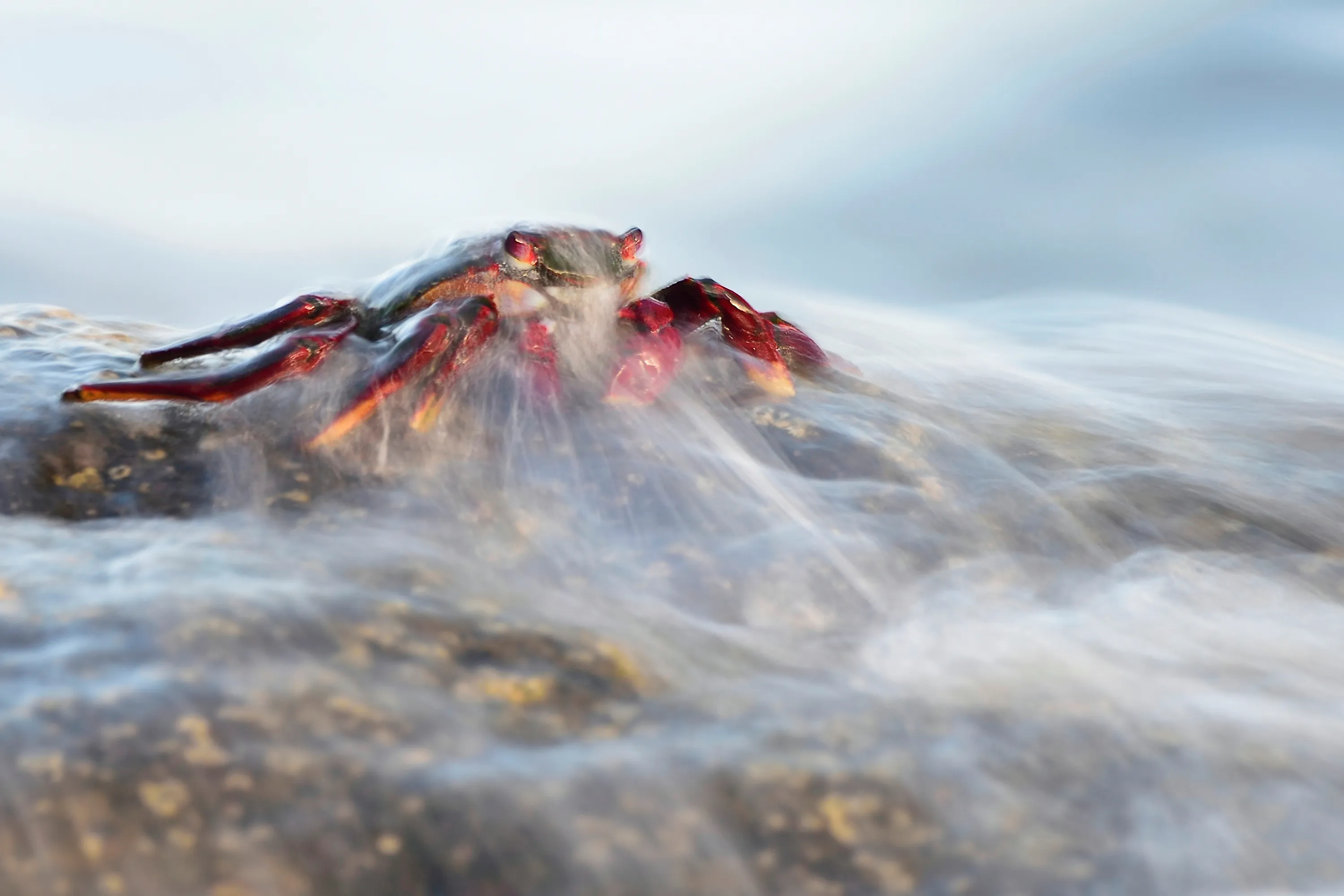 World Nature Photography Awards 2022 Winners