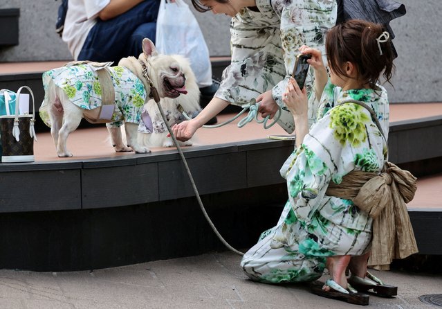 A woman wearing yukata, or casual summer kimono, takes a photo of her pet dog in Tokyo, Japan on October 2, 2025. (Photo by Kim Kyung-Hoon/Reuters)