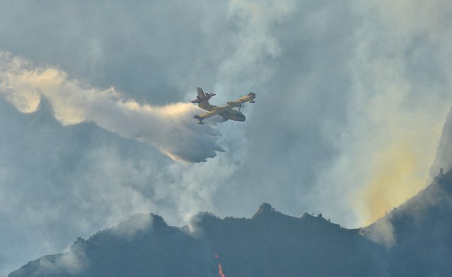 A Canadair hydroplane drops water above a wildfire raging through Pico do Arieiro mountain on August 22, 2024 in Santana on the Portuguese island of Madeira, which broke out over a week ago in the Ribeira Brava district. Portuguese authorities sent reinforcements to the island of Madeira on August 21, 2024, to fight a wildfire raging for a week that has touched the edge of a UNESCO listed forest. (Photo by Helder Santos/AFP Photo)