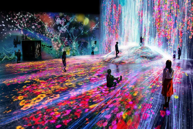 Inside the new Digital Art Museum in Tokyo, Japan on June 21, 2018. (Photo by South West News Service)