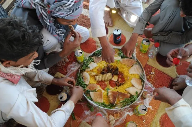 A traditional dish known as Kabsa is seen with a tail of an Uromastyx lizard, also known as a dabb lizard, in a desert near Tabuk April 19, 2013. (Photo by Mohamed Al Hwaity/Reuters)