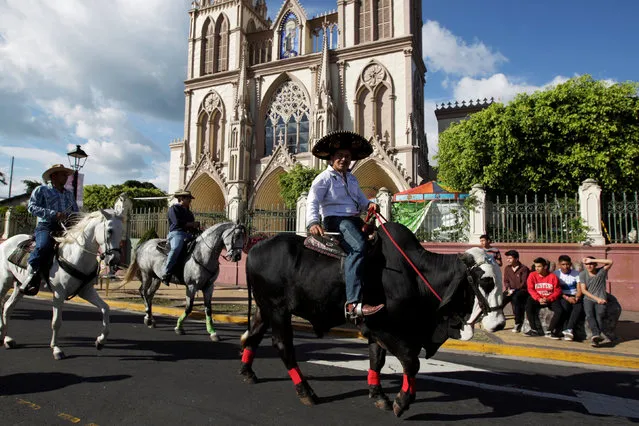 Jaime Leiva rides his bull Rambo prior to a bull riding event in Santa Tecla, El Salvador, December 15, 2016. (Photo by Jose Cabezas/Reuters)