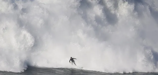 A surfer drops in on a large wave at Praia do Norte in Nazare, Portugal December 17, 2016. (Photo by Rafael Marchante/Reuters)