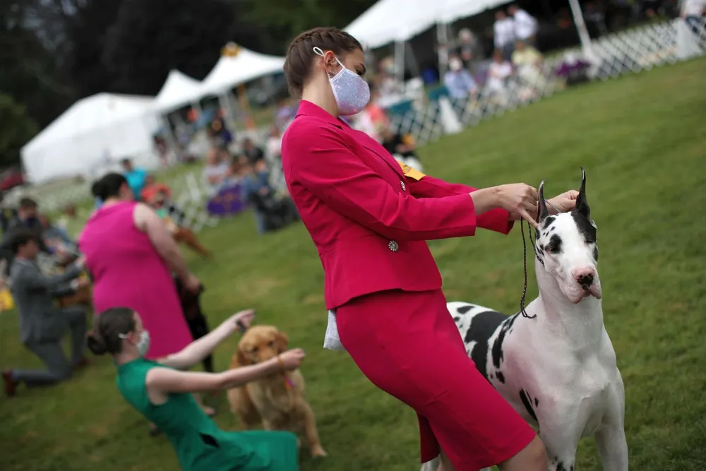 USA last Week, Part 1/2