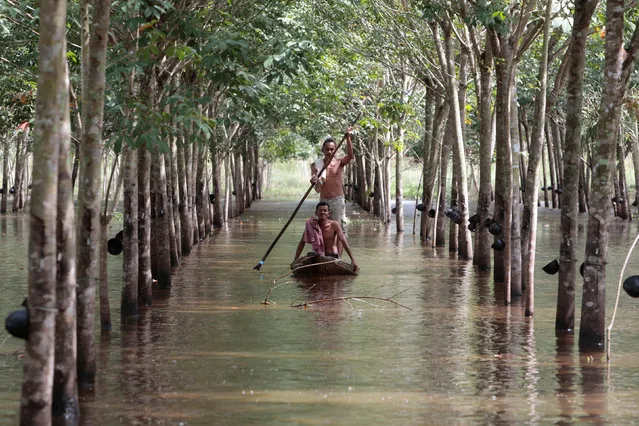 Phon Tongmak, a rubber tree farmer (back), rows a boat in floodwaters in his rubber plantation with his friend at Cha-uat district in Nakhon Si Thammarat Province, southern Thailand, January 18, 2017. (Photo by Surapan Boonthanom/Reuters)