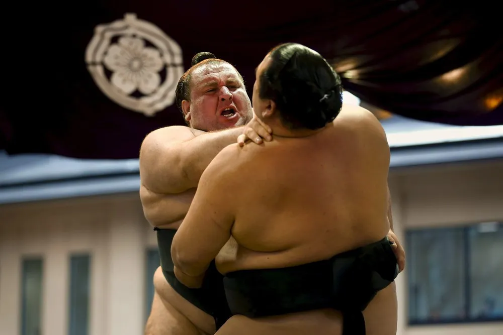 Sumo Wrestling – the Honozumo
