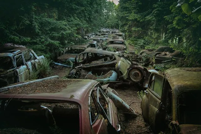 One snap even shows numerous cars sinking into the mud in a forest. (Photo by Robert Kahl/Mediadrumworld)