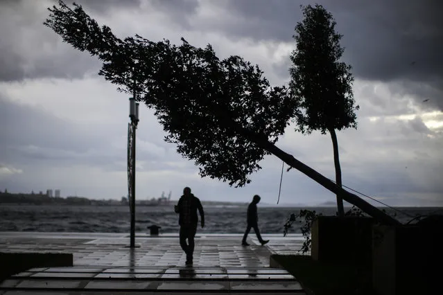 Pedestrians walk by a partially fallen tree, on a stormy day in Istanbul, Turkey, Tuesday, November 30, 2021. On Monday, a powerful storm pounded Istanbul and other parts of Turkey, killing at least four people and causing havoc in the city of 15 million people. (Photo by Francisco Seco/AP Photo)